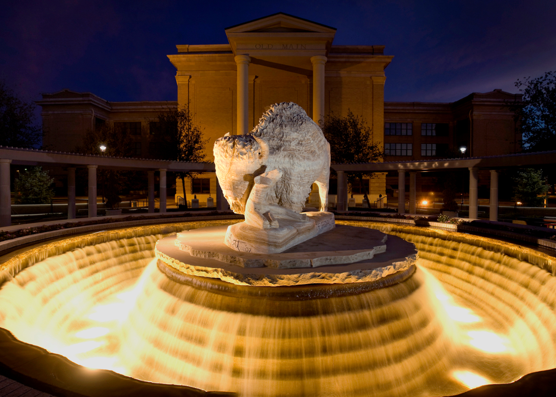 Buffalo Sculpture in Front of Old Main